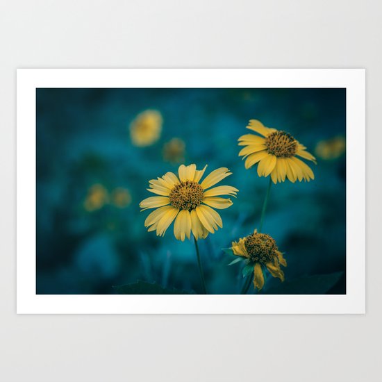 Sunflowers 2 Art Print