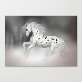 HORSE - Appaloosa Canvas Print