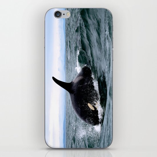 Willy iPhone & iPod Skin