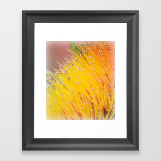 Through a Field of Yellow Framed Art Print
