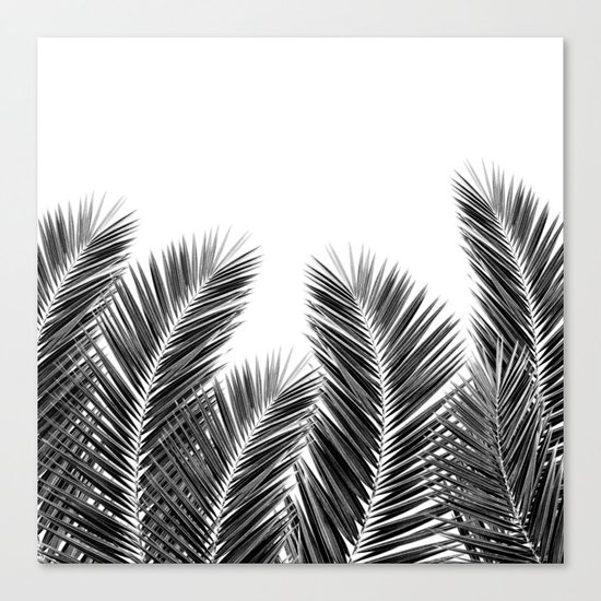 White Palm Skies Canvas Print