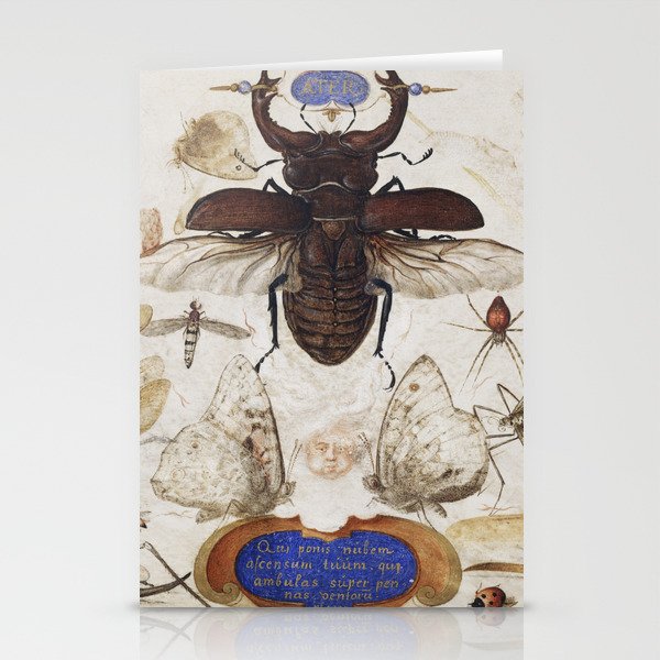 Insects and the Head of a Wind God Stationery Cards
