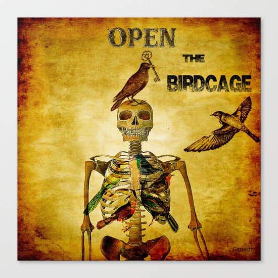 Open the Birdcage Canvas Print