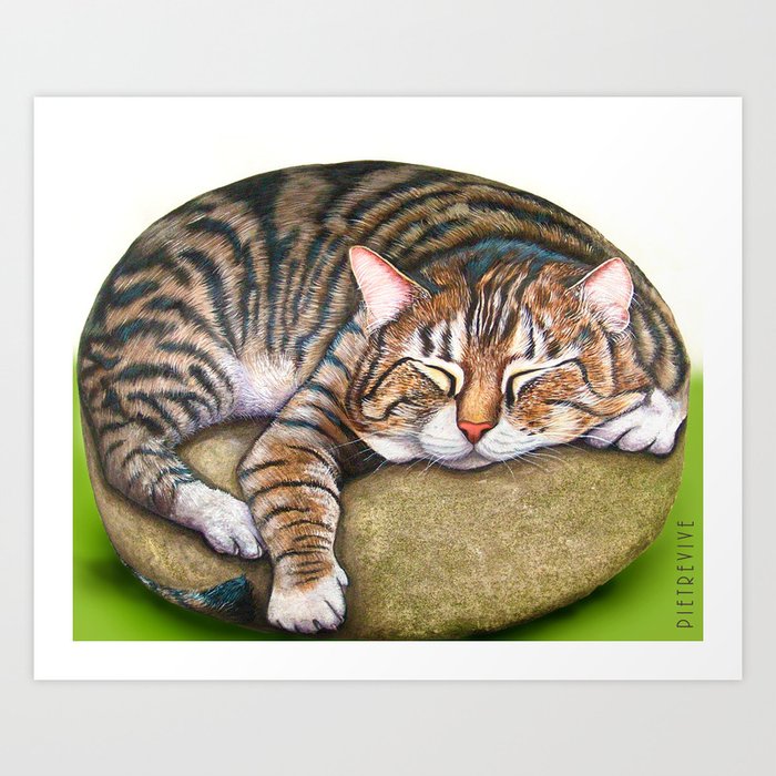 The Living Rocks : Painted cat sleeping on a rock Art Print