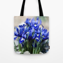 Iris Watercolor Tote Bag
