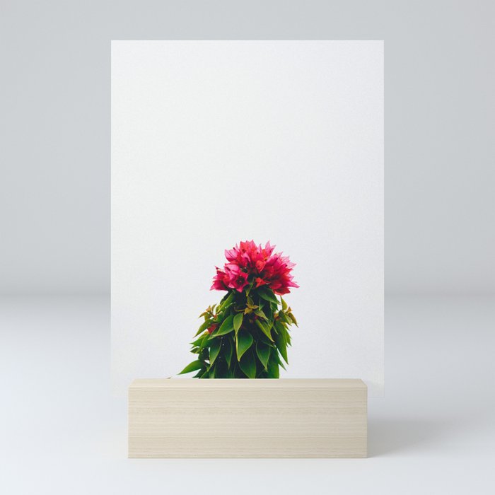 Minimalist Flower Mini Art Print