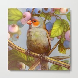 Orange cheeked waxbill finch with blueberries Metal Print | Vintage, Painting, Wildlife, Digital, Bird, Smallbird, Crazyfinchlady, Blueberrydrawing, Finch, Blueberries 