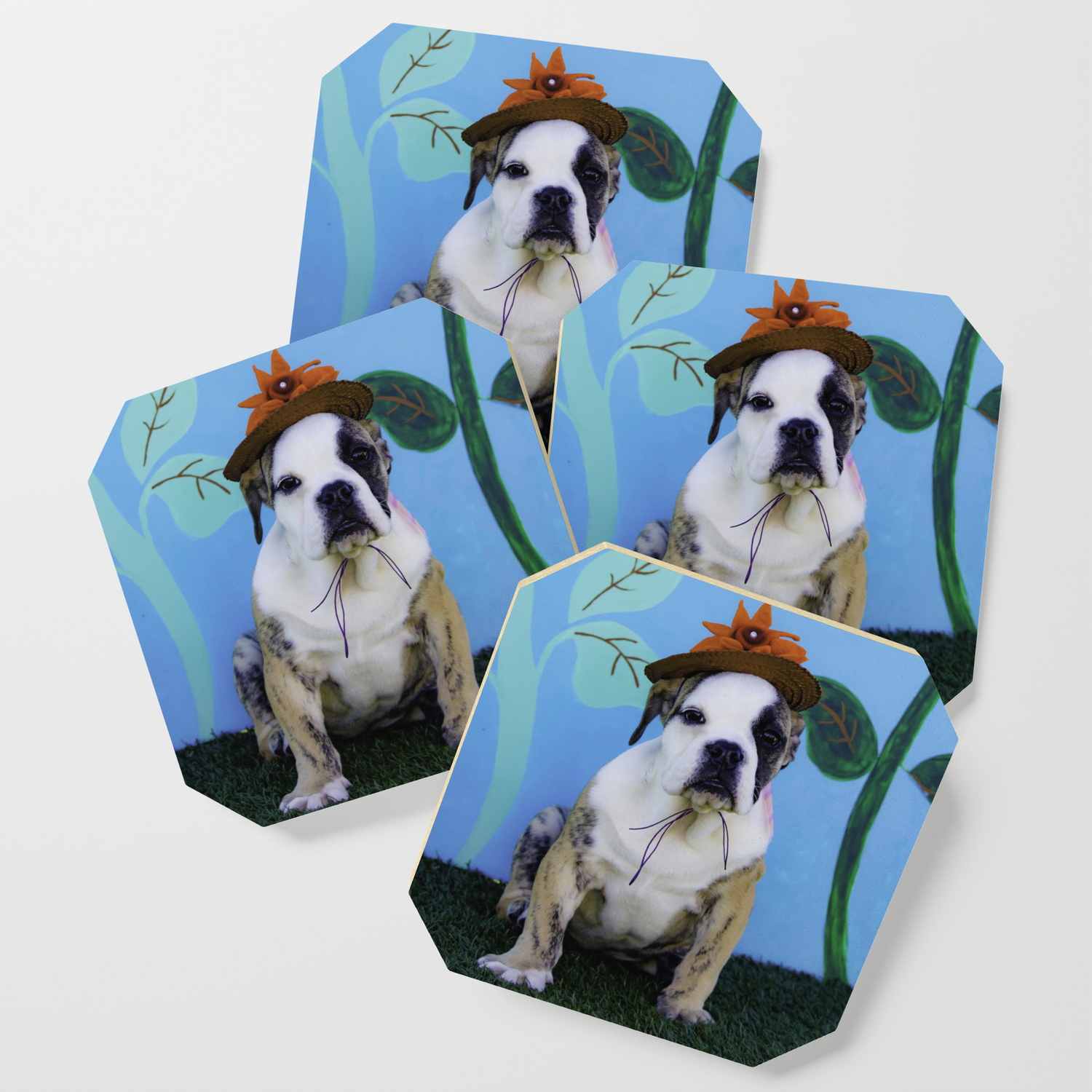 english bulldog hat