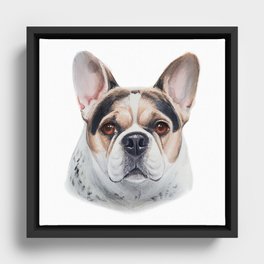 French Bull Dog 2 Framed Canvas