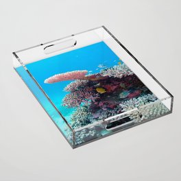 Sea Fish Acrylic Tray