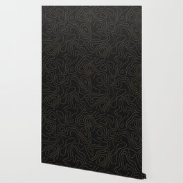 Topography Wallpaper For Any Decor Style Society6