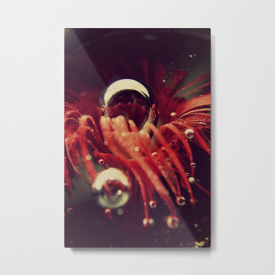 Secret Garden under Water Metal Print