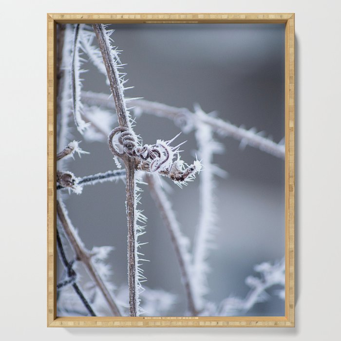 frozen Serving Tray