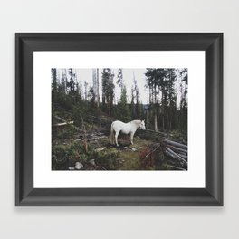 The White Horse Framed Art Print