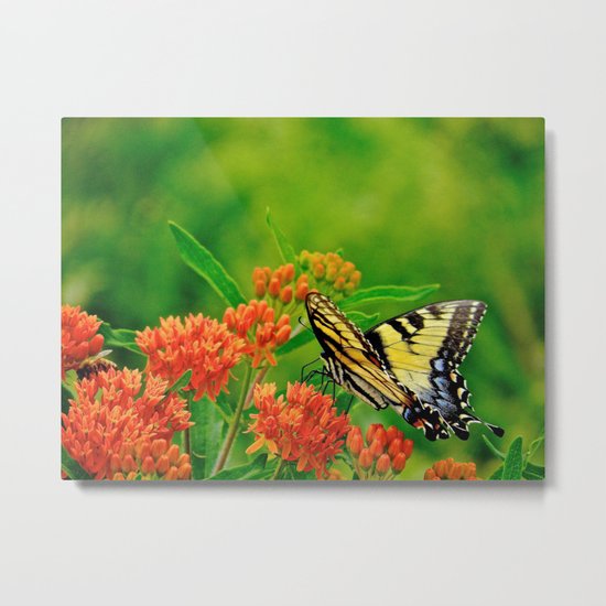 Ready for Takeoff Metal Print