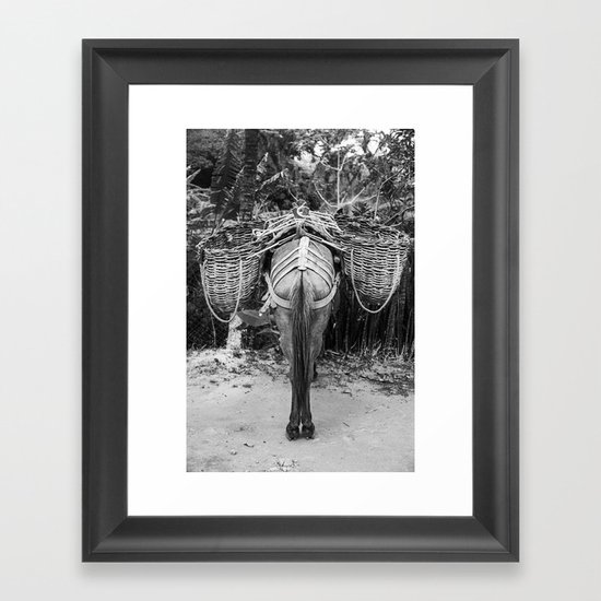 Donkey's Behind Framed Art Print