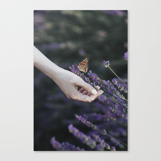 Butterfly effect Canvas Print