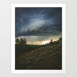 8,800' Jackson County, Colorado Art Print