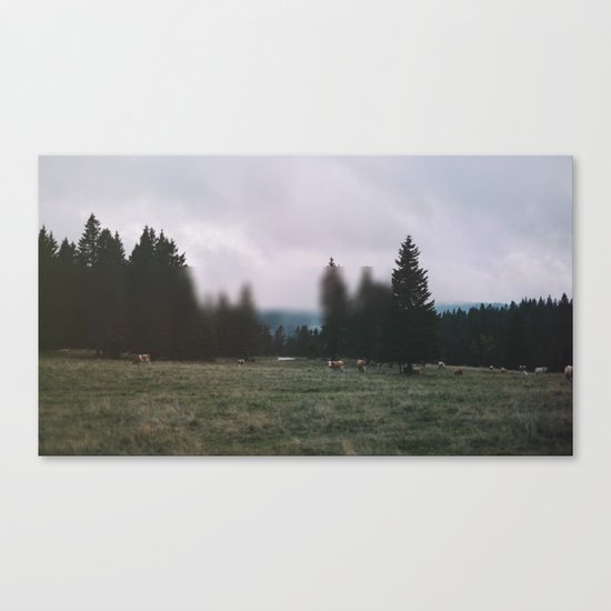 Landscape Twist Canvas Print