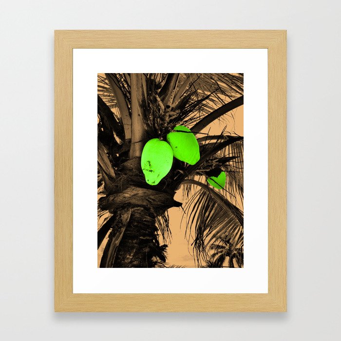 Lime in the Coconut Framed Art Print