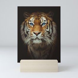 Wild Tiger with Blue eyes Mini Art Print