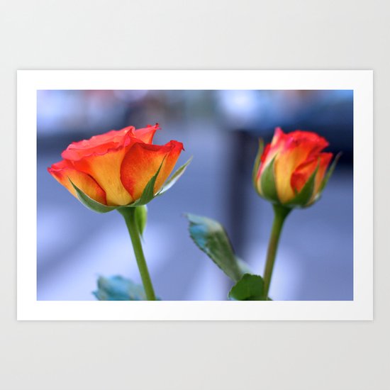 "Love planted a rose and the world turned sweet" Art Print