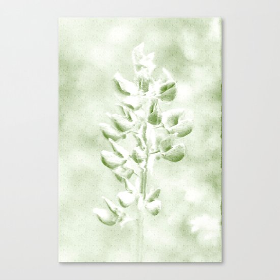 Lupine in Vintage color Canvas Print