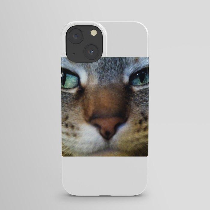 Shviv the Great iPhone Case