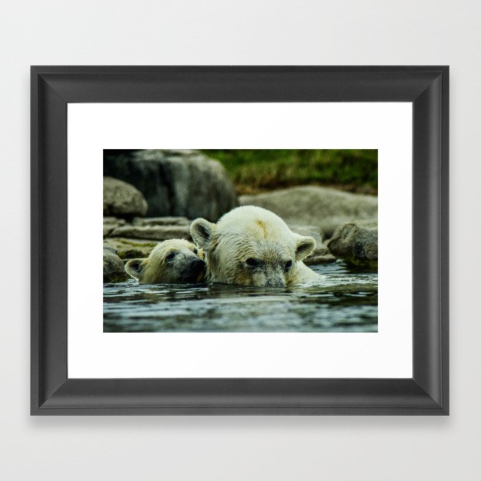Pole Bears Mother and Little one Framed Art Print