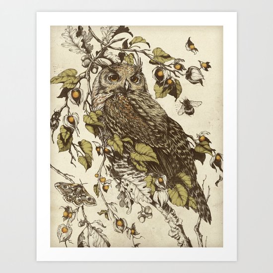 Great Horned Owl Art Print
