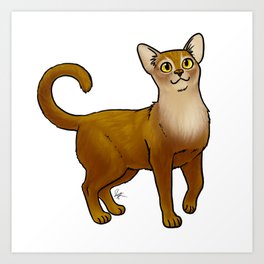 Cat Abyssinian Sorrel Art Print