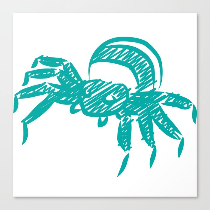 Spider Canvas Print