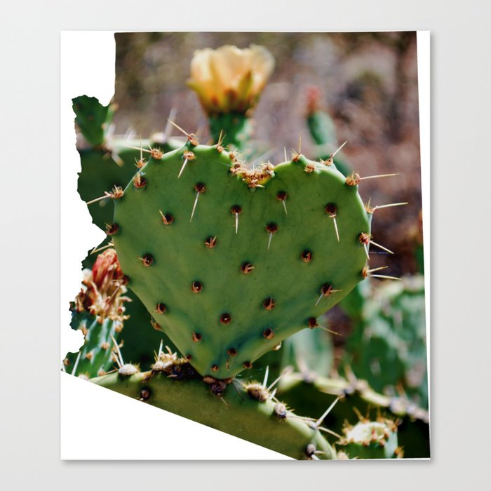 Sonoran Love / Arizona Canvas Print