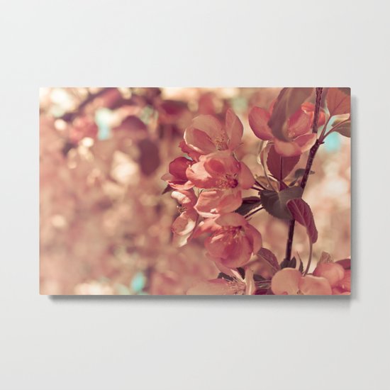 Ode to pink Metal Print