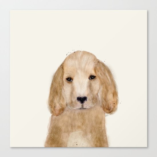 little spaniel Canvas Print