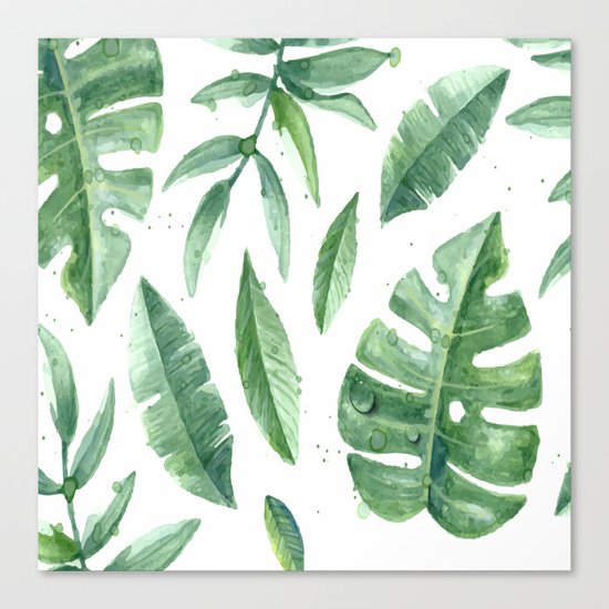 Leaves of the tropics Canvas Print