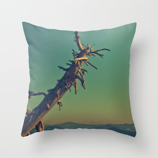 masonry Throw Pillow