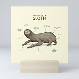Anatomy of a Sloth Mini Art Print