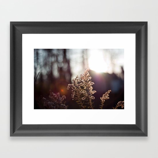 Goldenrod Light Framed Art Print