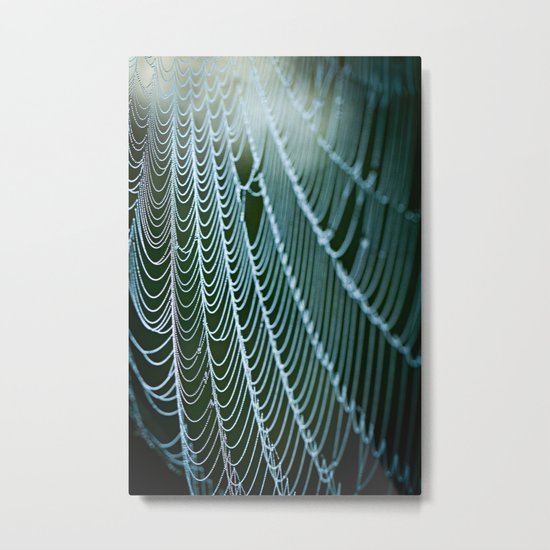 the web Metal Print