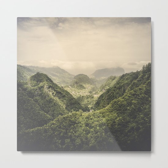 The Valley Metal Print