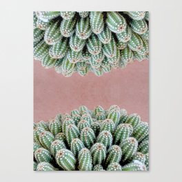Double Cactus Canvas Print