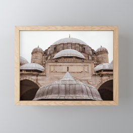 Mosque Domes | Mosques of Istanbul | Travel Photography Framed Mini Art Print