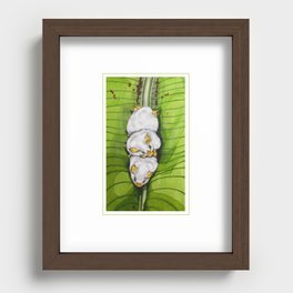 African White Bats Recessed Framed Print