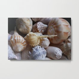 Seashells Metal Print | Seashells, Yellosseashell, Photo, Digital, Blueseashells, Stripedseashell, Color 