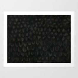 Black Feathers Art Print