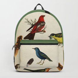 Forest Colorful Birds Chart Backpack | Species, Breeds, Forestbirds, Vintage, Illustration, Chart, Birds, Birdwatching, Drawing, Bird 