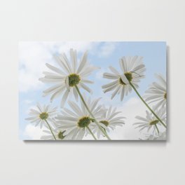 Remembrance Delicate White Daisies against Light Blue Cloudy Sky Metal Print | Bluesky, Flora, Flowers, Englishdaisies, Sky, Color, Englishdaisy, Happy, Cheerful, Daisies 