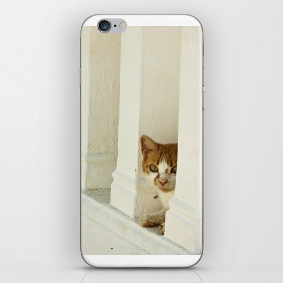 Little cat iPhone Skin