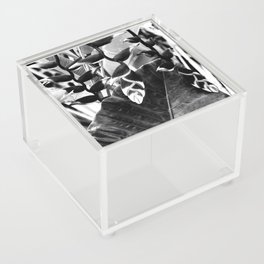 Helicona Rostrata Black And White Acrylic Box